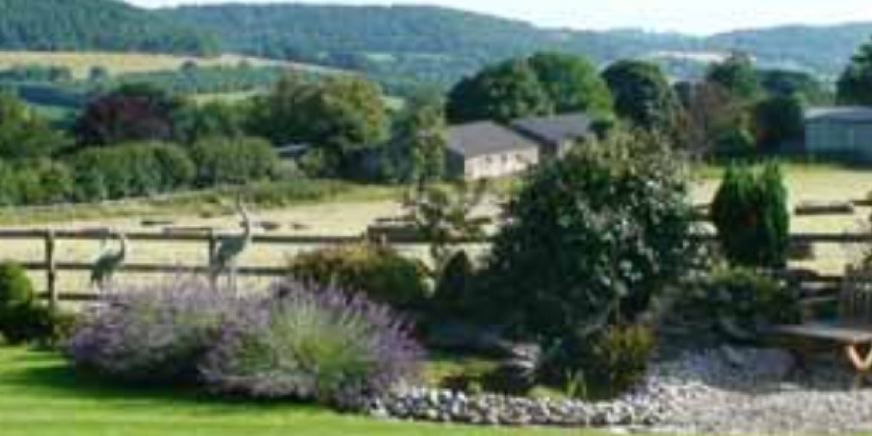 Linda de Cossart banner