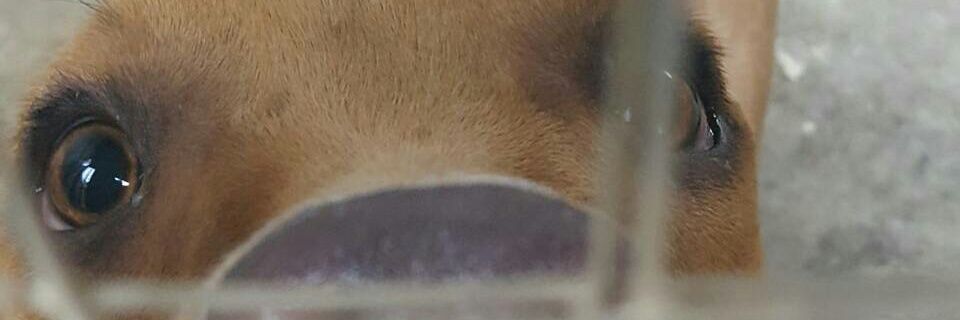 PUKPUGPLUG's profile banner image