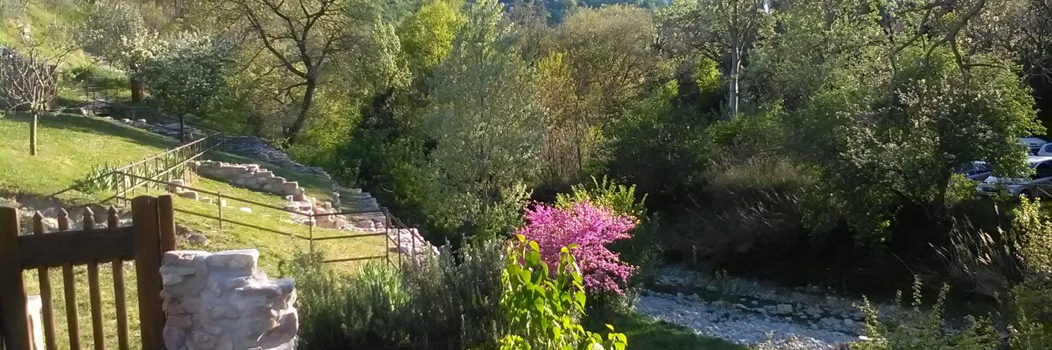 Anaderol72's profile banner image