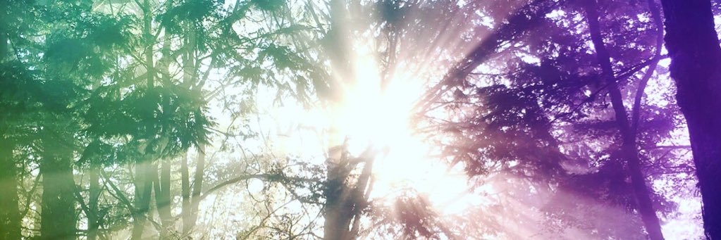 RooneyLin's profile banner image
