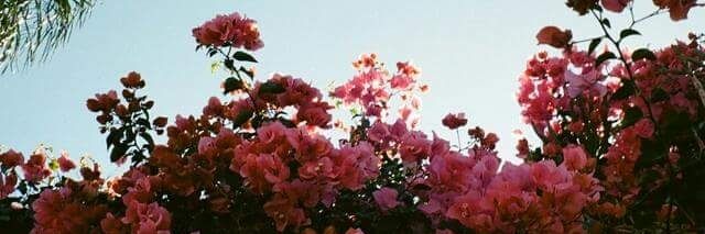 AIliveforme21's profile banner image