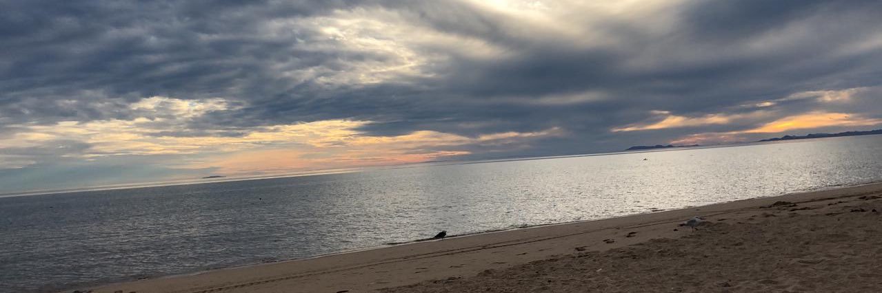 Grabita26's profile banner image