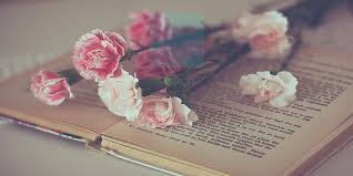 n1coly_'s profile banner image