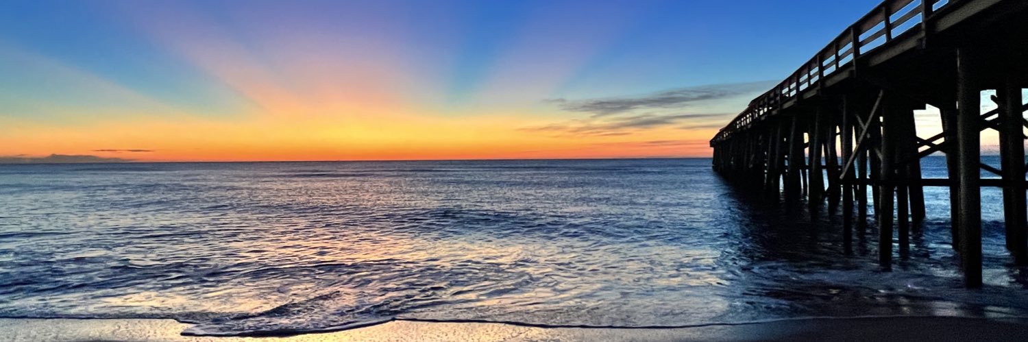 Carole Polney, Ed. D. banner