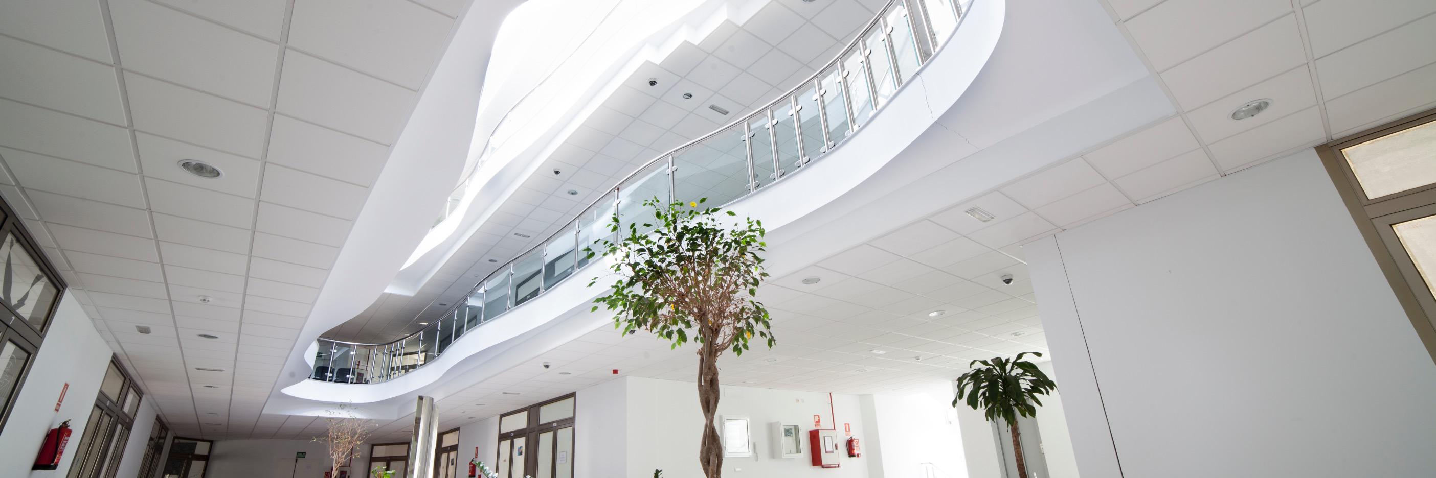 Manuel Armas Suarez banner