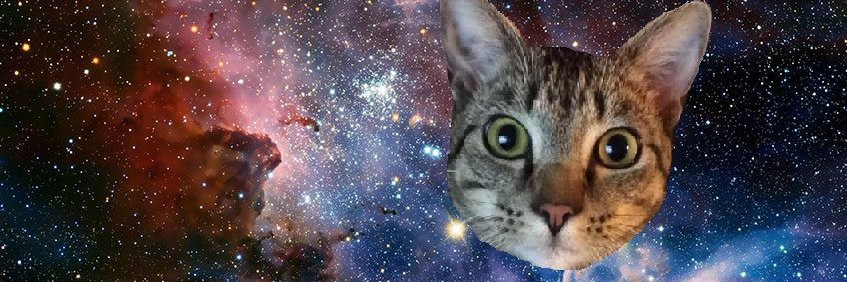 Melina1193's profile banner image