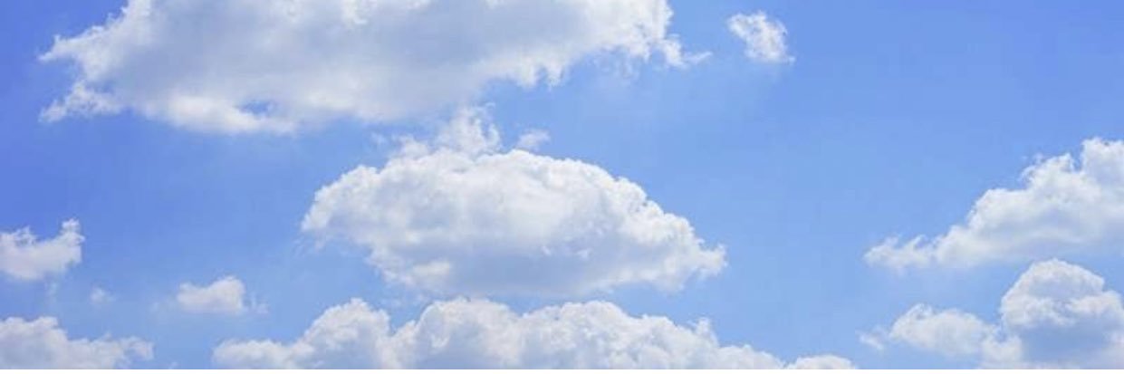 nicolehofferr's profile banner image