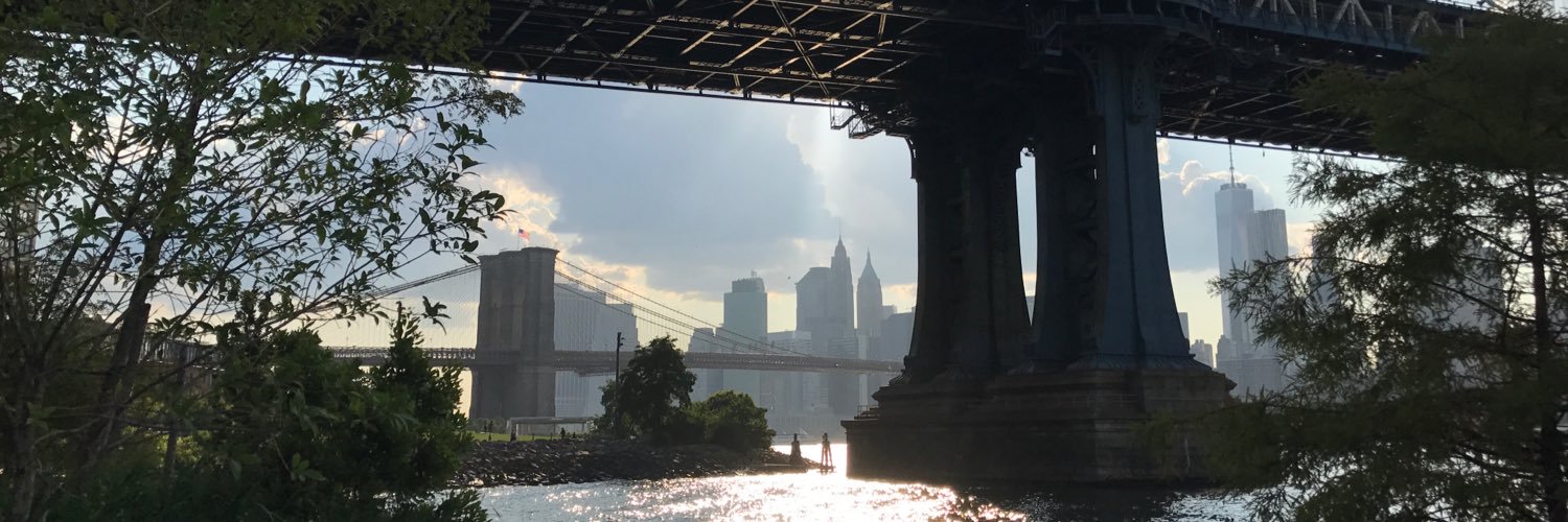 Robert Stanton banner