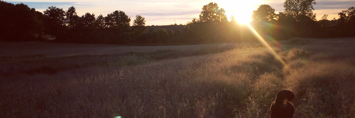 bshattell12's profile banner image