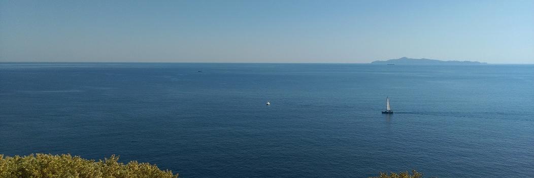 paulatsoni's profile banner image