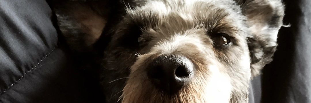 ramiropastorr's profile banner image