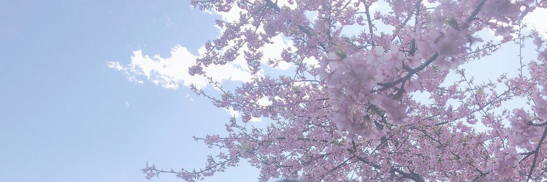 0617tuna's profile banner image