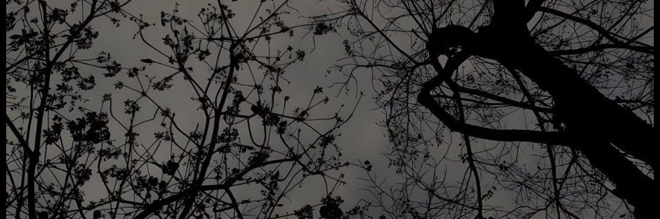 anahitoro's profile banner image