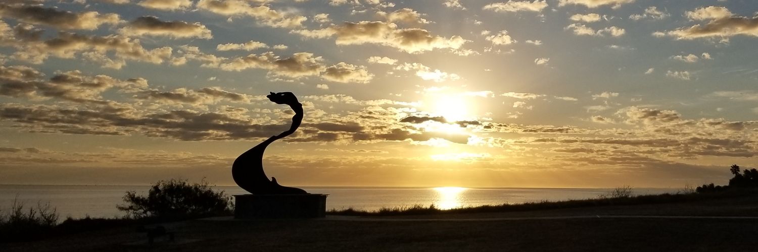 KrWilson956's profile banner image