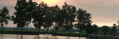 Mas Banyu's banner