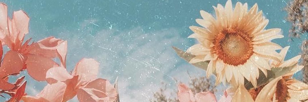 Knowing_Nea's profile banner image