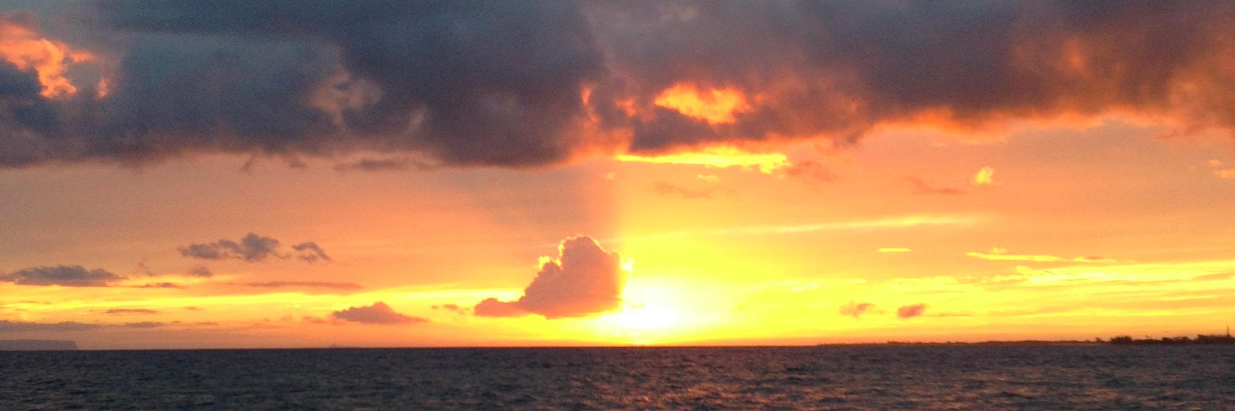 TedHettinga's profile banner image