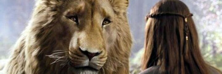 laarysm's profile banner image