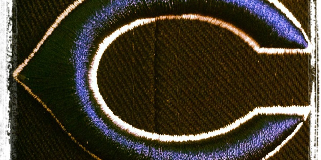 tyler_jackson12's profile banner image