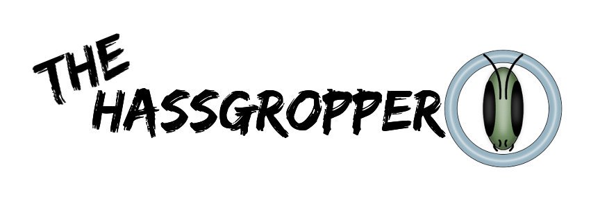 TheHassgropper's profile banner image