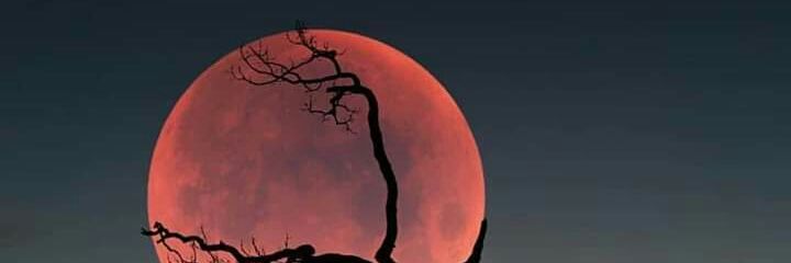 Arro_bame's profile banner image