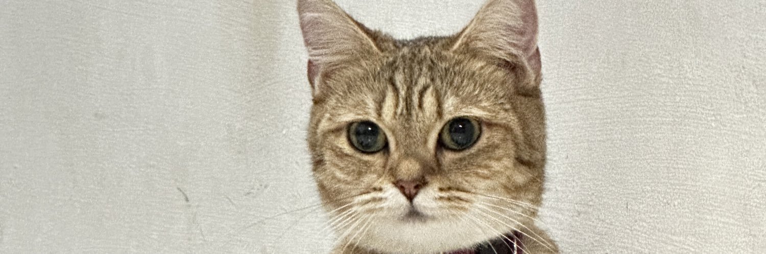 enRickky's profile banner image