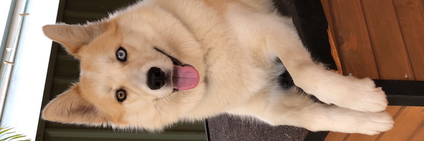 ymarv_'s profile banner image