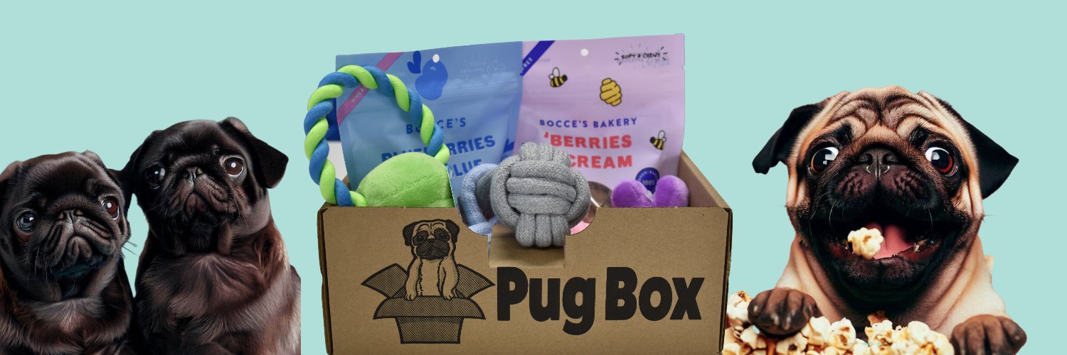 PugBoxes's profile banner image