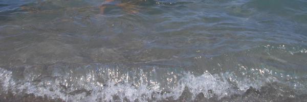 mayC Profile Banner