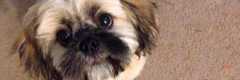 maakaaaayla's profile banner image
