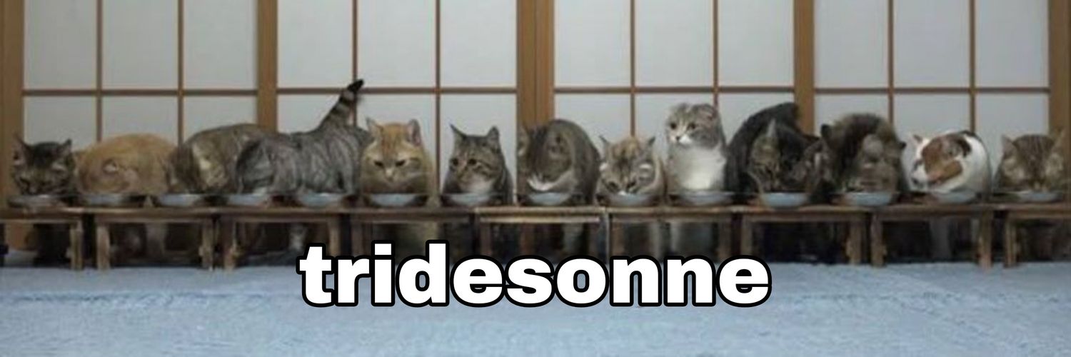 pageofcatto's profile banner image