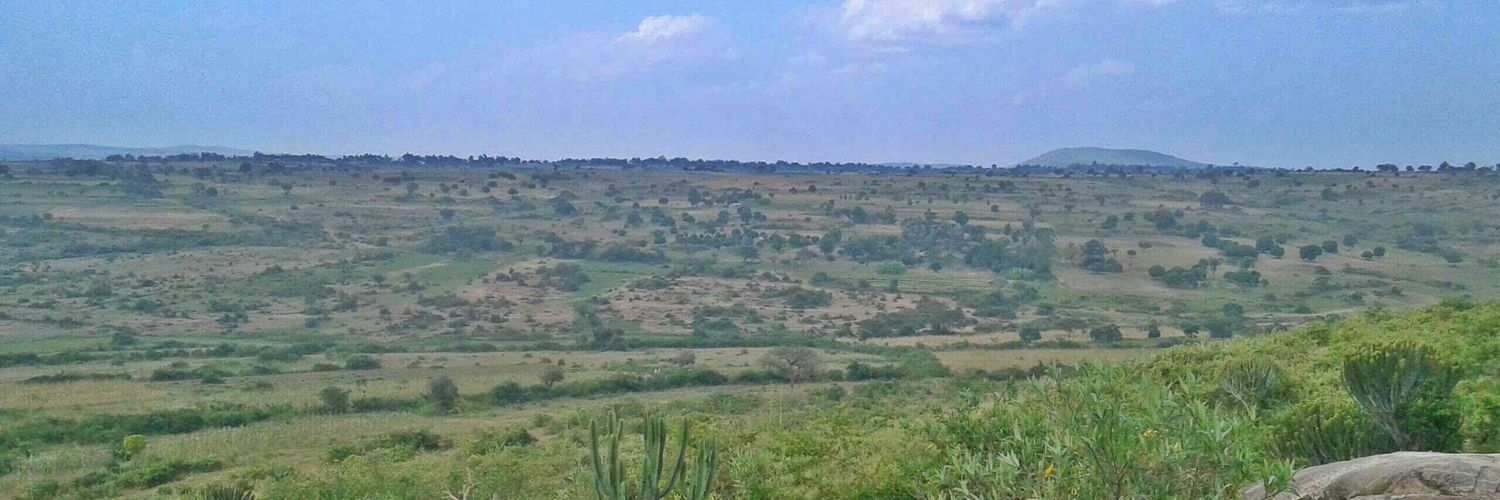 Haśśmań Tõzzi banner