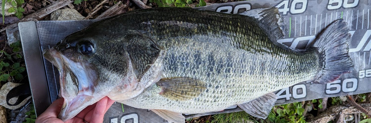 江戸川 太郎 banner