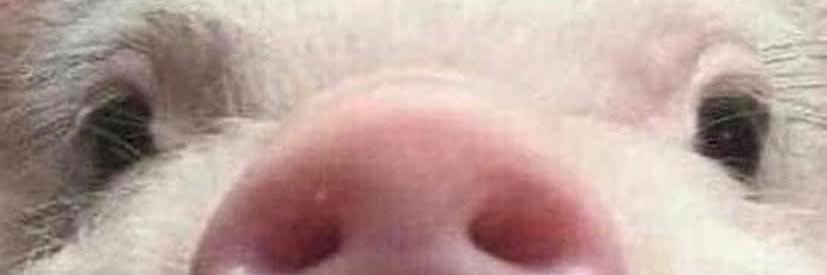 xclx_'s profile banner image