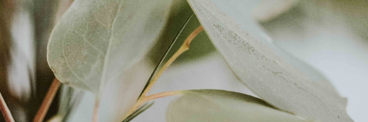 genyouwin's profile banner image