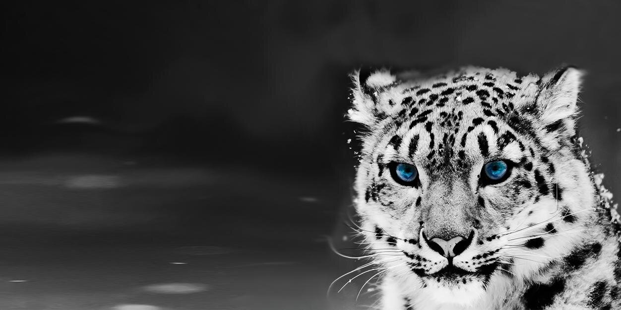 stePHenmc11's profile banner image