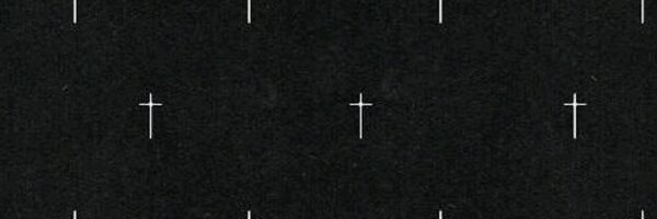 sophievab Profile Banner