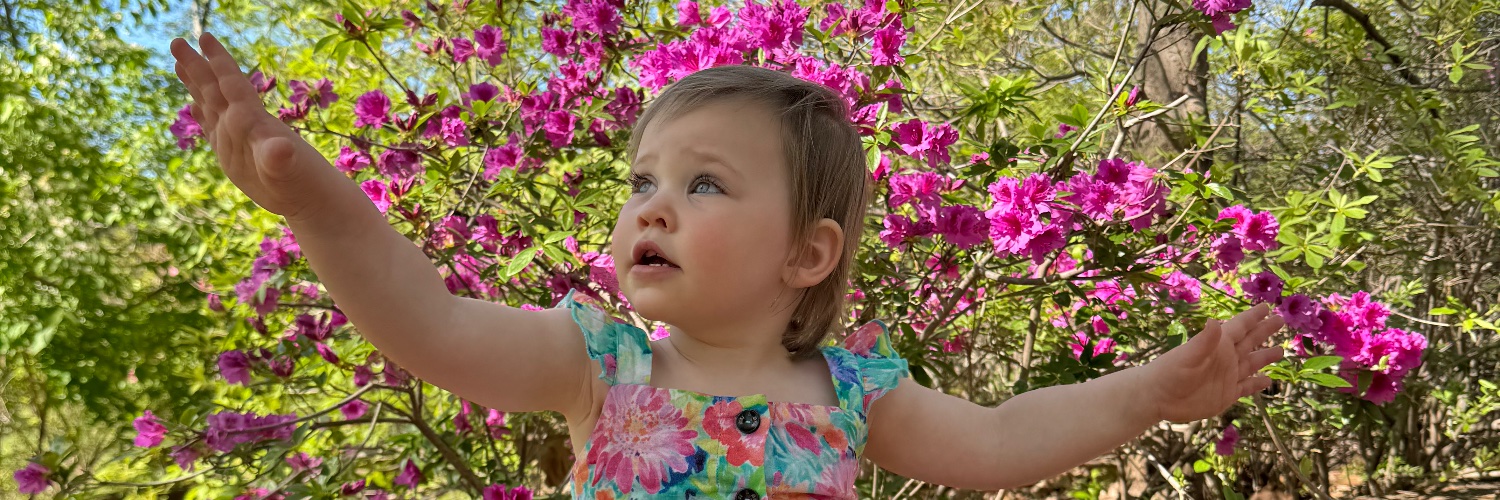 iiiitshaley's profile banner image