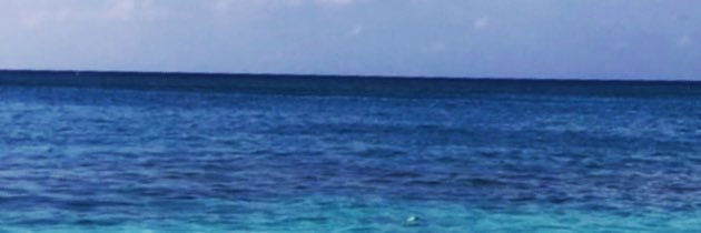 08_relax's profile banner image