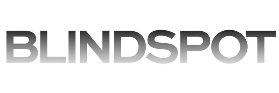 BlindspotFans's profile banner image