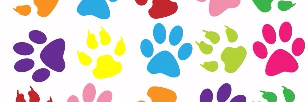 miss_morey's profile banner image