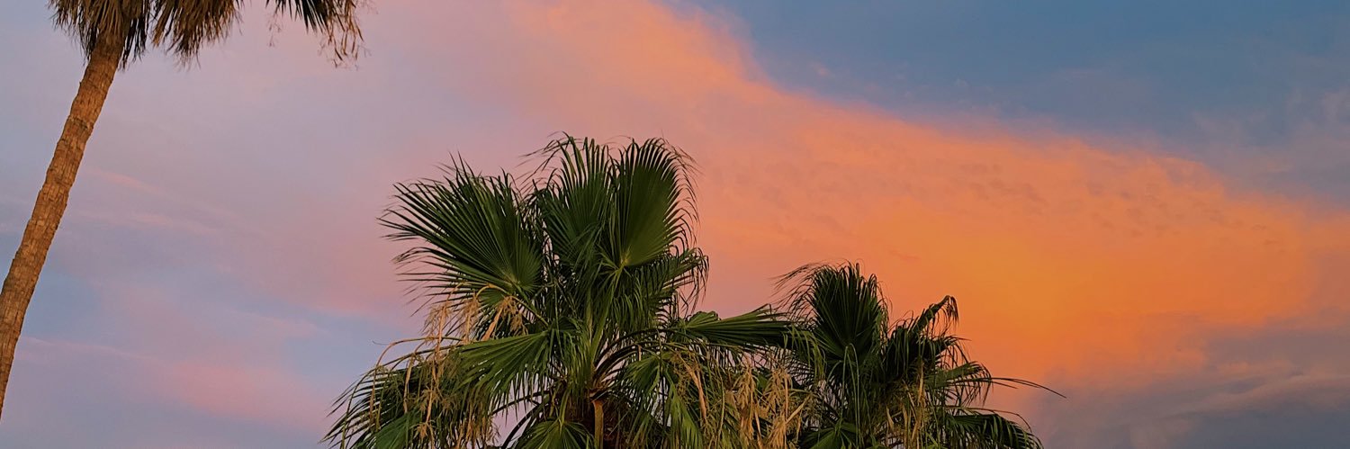 briannapearsonn's profile banner image