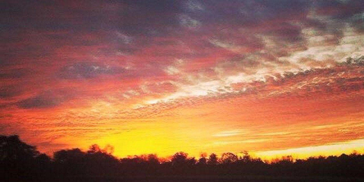 RealGwenMarie's profile banner image