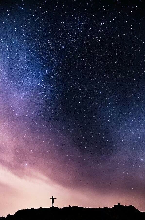 stellaalim's profile banner image