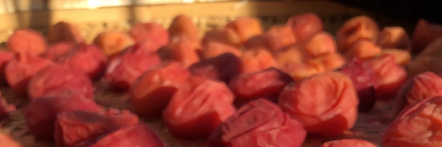 RecordeLyricism's profile banner image