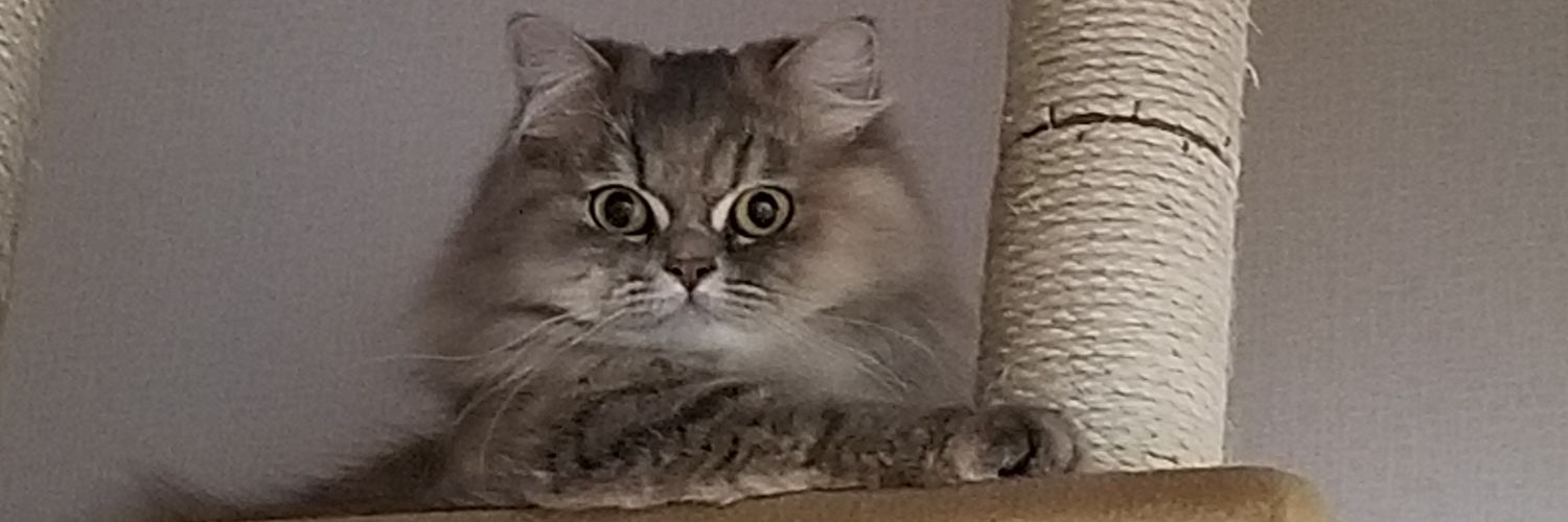obagon92's profile banner image