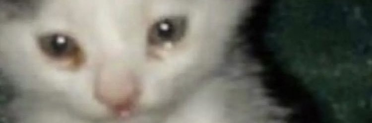 i_need_jisoos's profile banner image