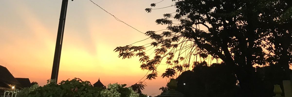 urblueeleph's profile banner image