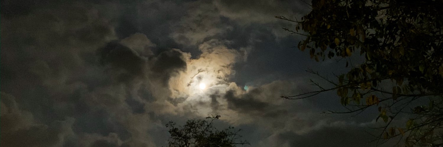 RAI 🌙 banner