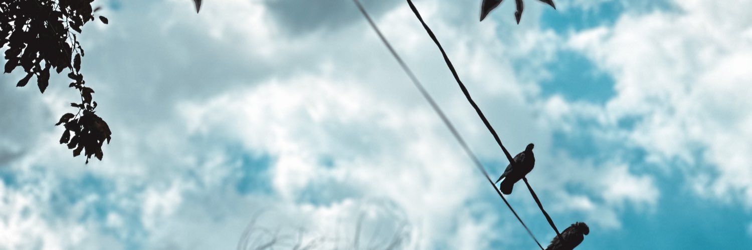 SwanVictors's profile banner image